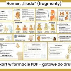 Infografika przedstawia streszczenie "Iliady" Homera, z podziałem na autorów, bohaterów, motywy, cechy eposu i fragmenty omawiane w szkole.