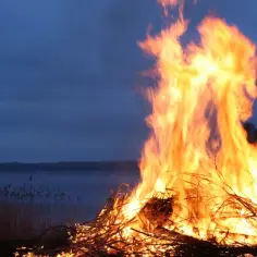 Płonące ognisko nad jeziorem, w blasku płomieni widać zarys trzcin i drzew. Może to właśnie tu, w noc świętojańską, kwitnie mityczny kwiat paproci.
