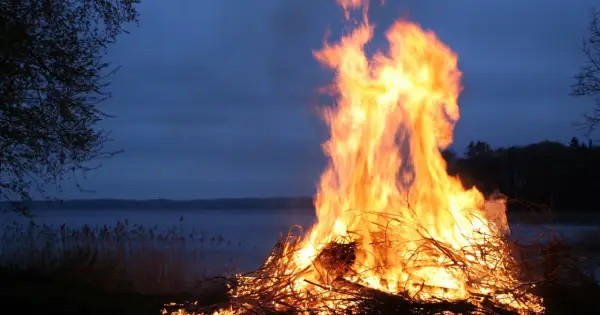 Kwiat paproci - Legenda, Noc Kupały i ukryty sens