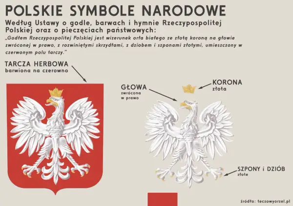 Polskie symbole narodowe - godło, barwy, hymn. Jak ich używać?
