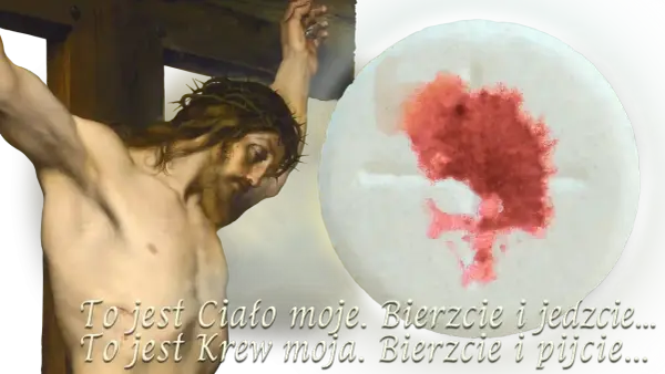 Hostia - Co oznacza, jak wygląda i dlaczego jest ważna?