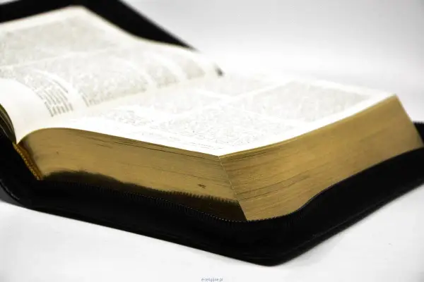 Pielgrzymowanie w Biblii - Co zmienia w życiu?