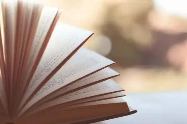 Synkretyzm w literaturze - Dlaczego miesza się formy?